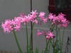 2VB_4512