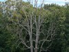 2VB_4515