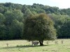 2VB_4532