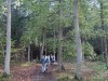 DP_3966