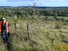 2VB_6434