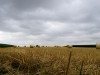 DP_3676