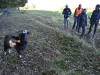2VB_6317