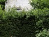RB_5084