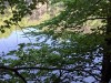 RB-20260617_104222