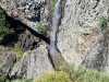 IMG-20260618-WA0004