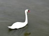 2VB_4188