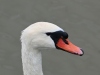2VB_4191