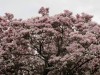 DP_6191
