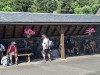 RB-20260619_120935