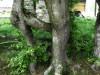 2VB_1043