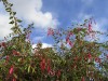 DP_4182