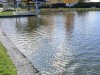 MC_3654