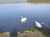 RB-20260323_162036