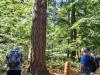 RB-20260824_153519