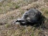 2VB_5561