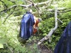 DP_6567