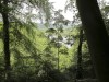 DP_6569