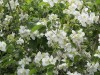 DP_6584