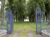 DP_6529