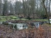 DM_094348
