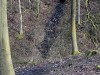 DM_095630