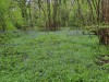 PP-1000028516
