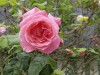 RB_5633