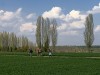 RB20_3838