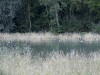 RB_8880