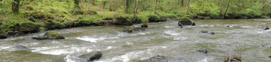 Randonnées Bourgeronnes
