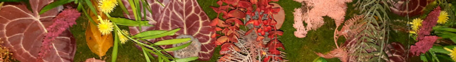 Randonnées Bourgeronnes